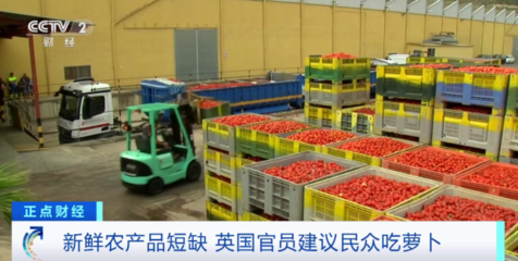 英国蔬菜短缺风波 从“吃萝卜”建议看供应链脆弱与民生焦虑