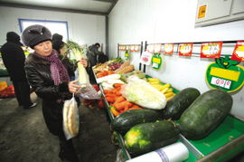 新疆商务主打民生牌，新鲜蔬菜零售前沿实践