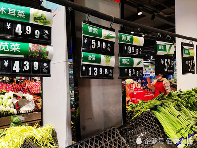透视蔬菜涨价背后 从城市菜比肉贵到返乡种菜潮