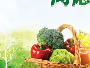 2018年全国食品安全宣传周活动展板设计素材指南 从PSD模板到蔬菜零售专题展板